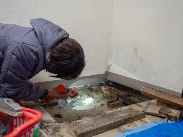 Best Mold Remediation for Healthcare Facilities  in Red Rock, AZ