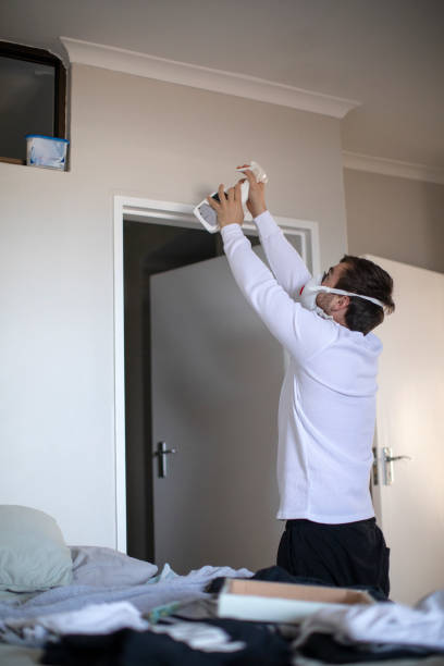 Best Mold Removal for HVAC Installations  in Red Rock, AZ