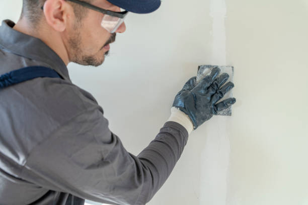 Best Water Damage & Mold Remediation  in Red Rock, AZ