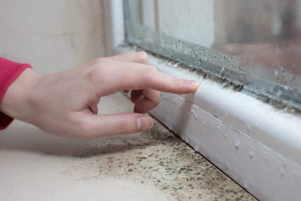 Best Crawl Space Mold Remediation  in Red Rock, AZ