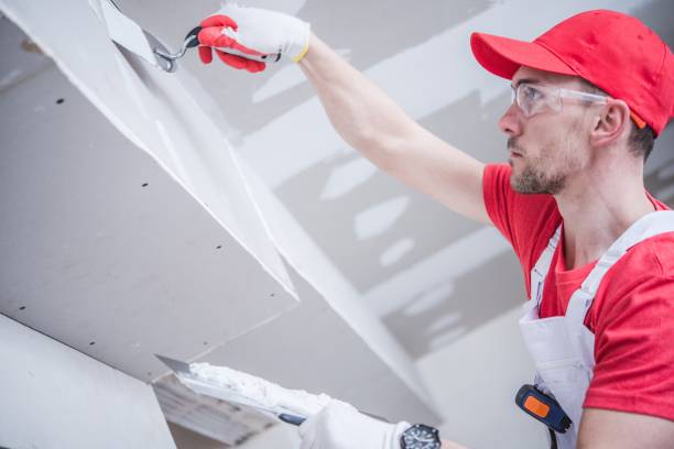 Best Attic Mold Removal  in Red Rock, AZ